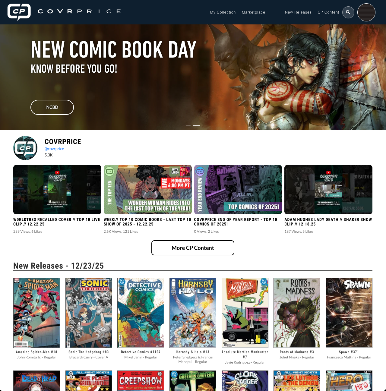 Work sample screenshot 5 of 7